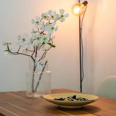 Tradicional Charm House In Ii Apartment *